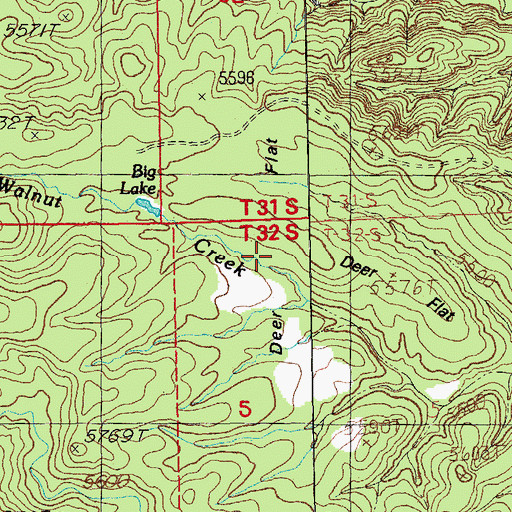 Topographic Map of Deer Flat, NM
