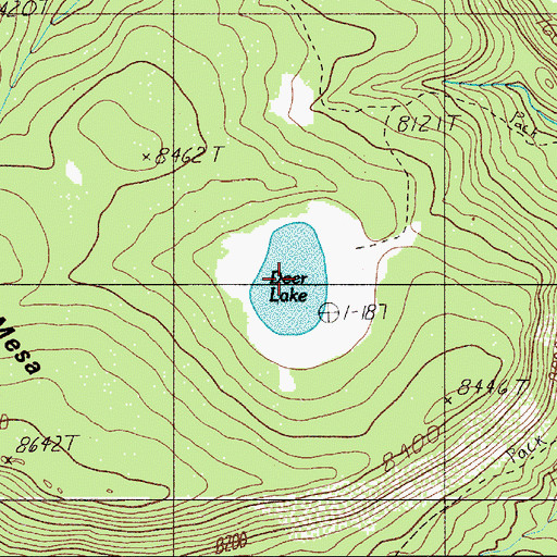 Topographic Map of Deer Lake, NM