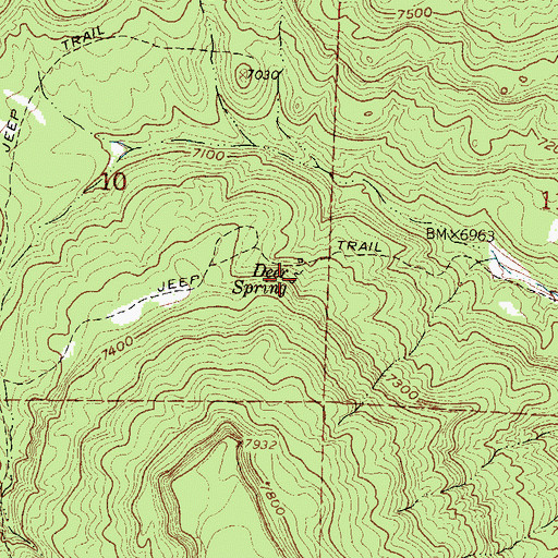 Topographic Map of Deer Spring, NM