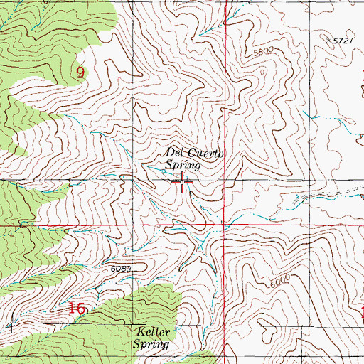 Topographic Map of Del Cuerto Spring, NM