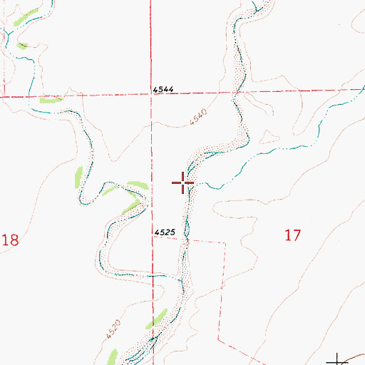 Topographic Map of Del Muerto Creek, NM