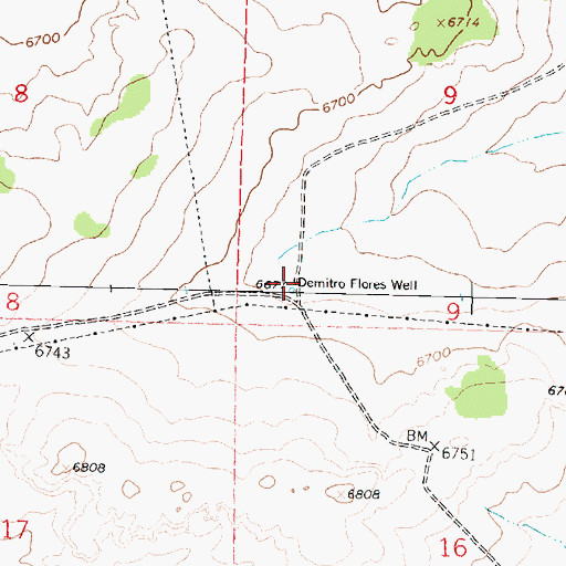 Topographic Map of Demitro Flores Well, NM