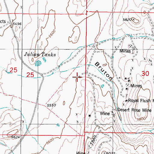 Topographic Map of Desert Rose Mine, NM