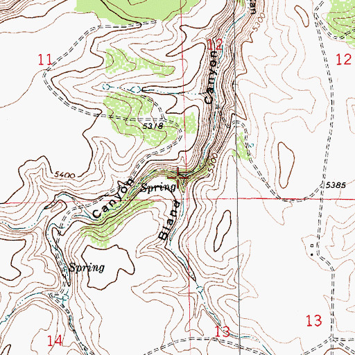 Topographic Map of Dickerson Canyon, NM