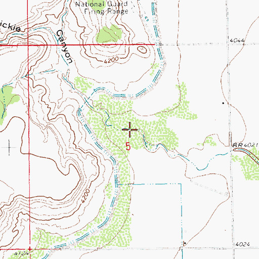 Topographic Map of Dickie Canyon, NM