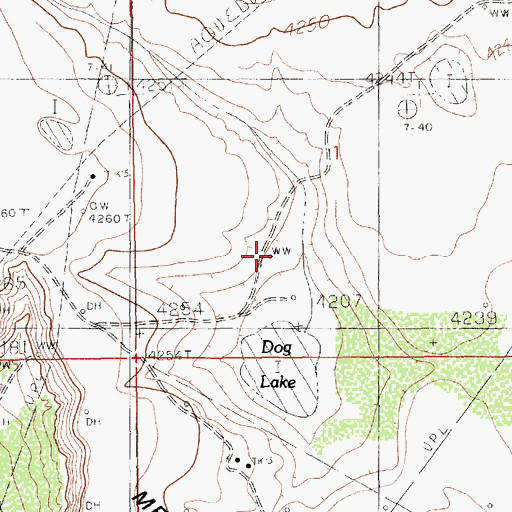 Topographic Map of Dog Lake Well, NM