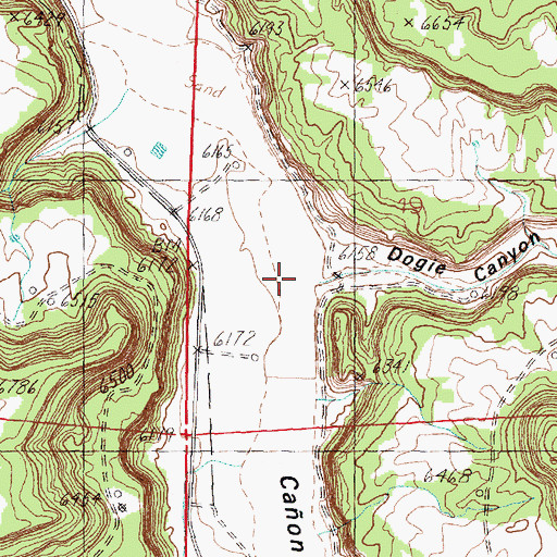 Topographic Map of Dogie Canyon, NM