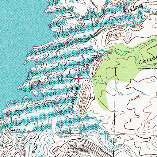 Topographic Map of Double Canyon, NM