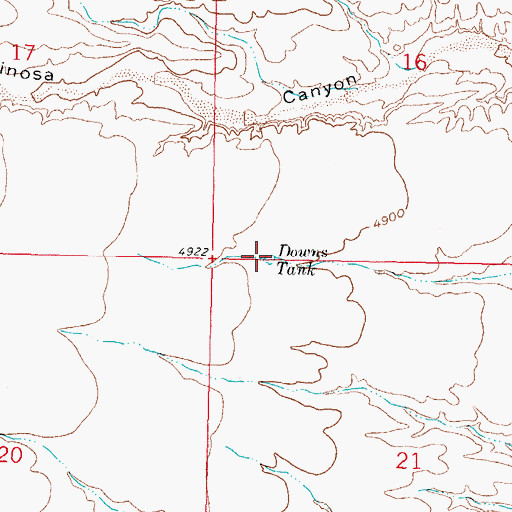 Topographic Map of Downs Tank, NM