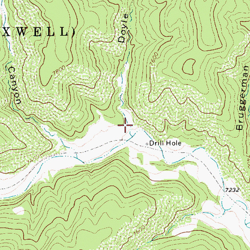 Topographic Map of Doyle Canyon, NM