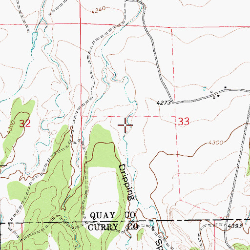 Topographic Map of Dripping Spring Canyon, NM