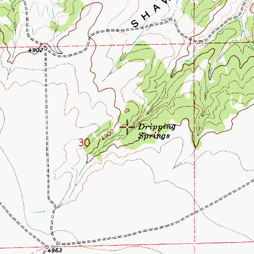 Topographic Map of Dripping Springs, NM
