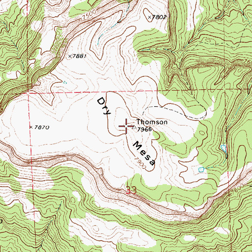Topographic Map of Dry Mesa, NM