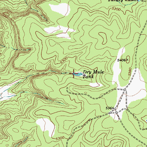 Topographic Map of Dry Mule Tank, NM