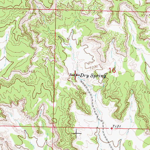 Topographic Map of Dry Spring, NM