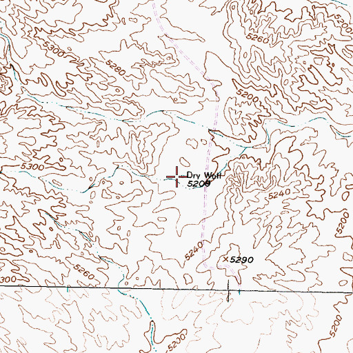 Topographic Map of Dry Well, NM
