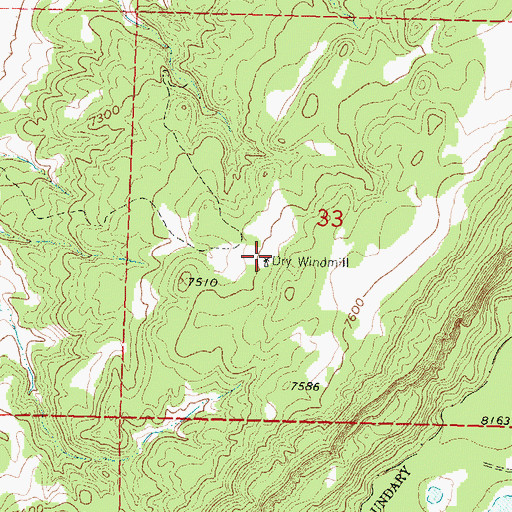Topographic Map of Dry Windmill, NM