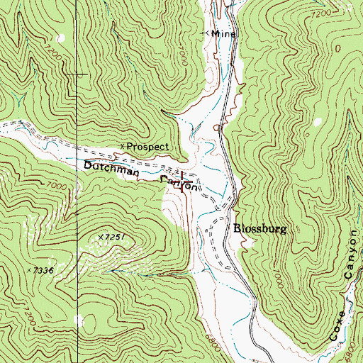 Topographic Map of Dutchman Canyon, NM