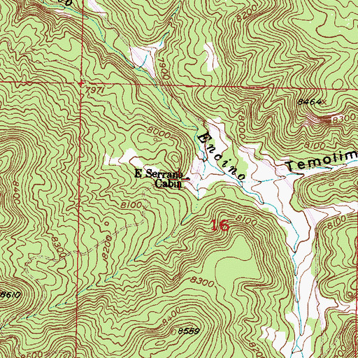 Topographic Map of E Serrano Cabin, NM