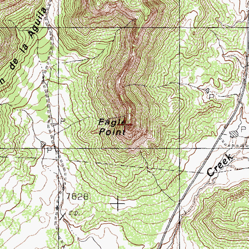 Topographic Map of Eagle Point, NM