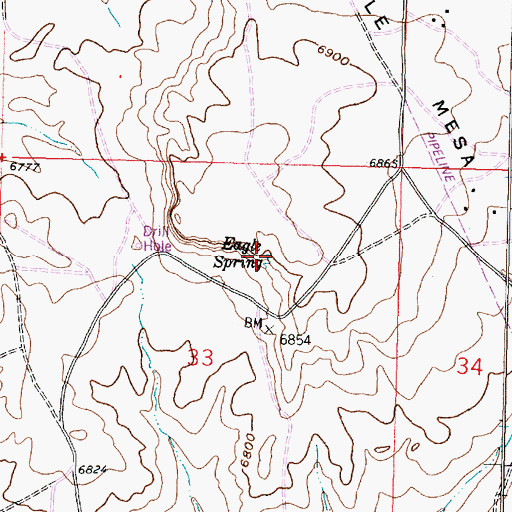 Topographic Map of Eagle Spring, NM