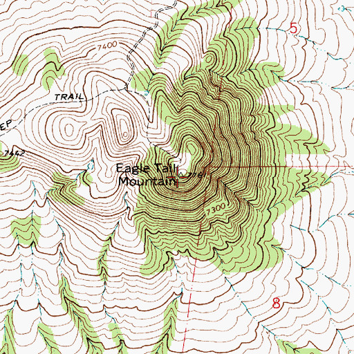 Topographic Map of Eagle Tail Mountain, NM