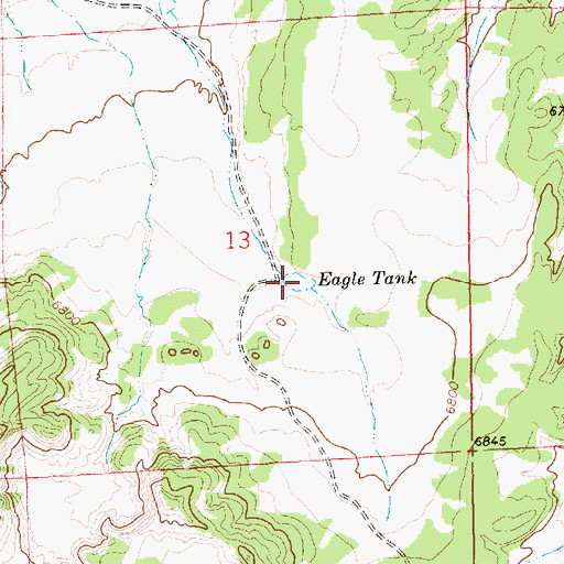 Topographic Map of Eagle Tank, NM