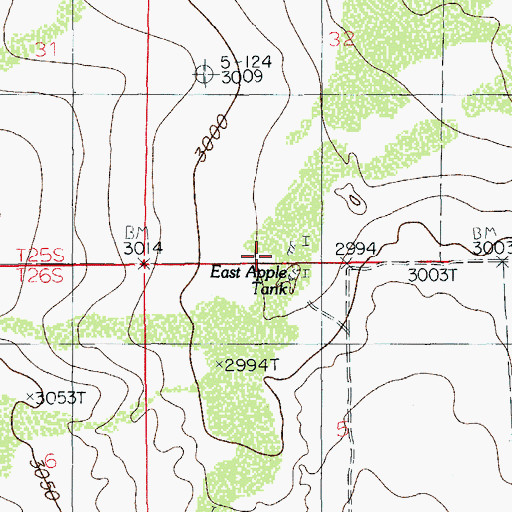 Topographic Map of East Apple Tank, NM