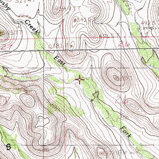 Topographic Map of East Fork Brushy Creek, NM