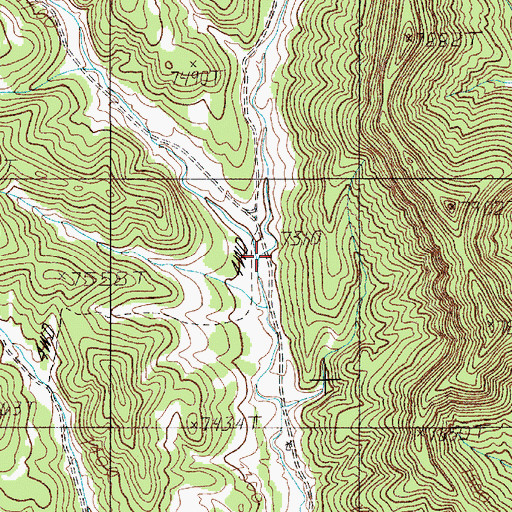 Topographic Map of East Fork Chimney Canyon, NM