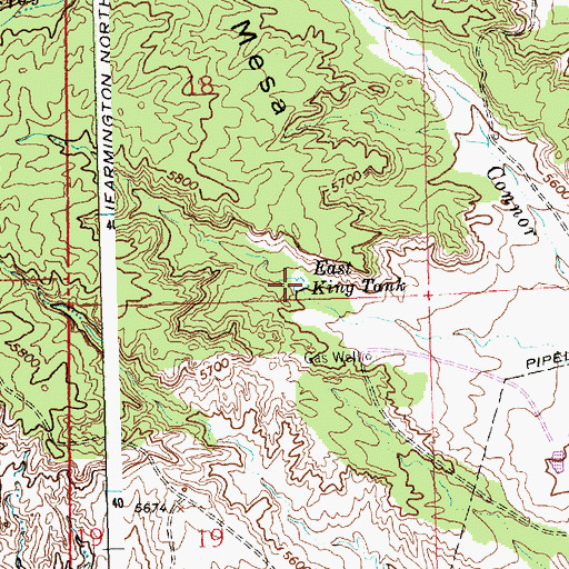 Topographic Map of East King Tank, NM