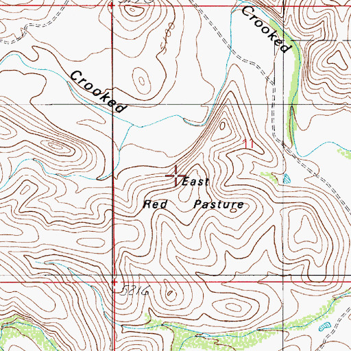 Topographic Map of East Red Pasture, NM