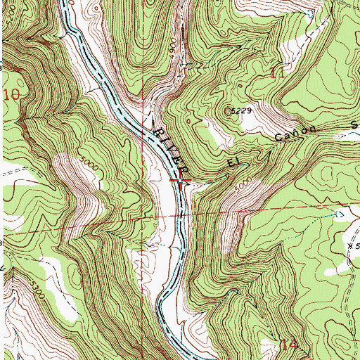 Topographic Map of El Caon Salitre, NM