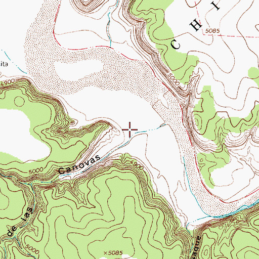 Topographic Map of El Caoncito de las Canovas, NM