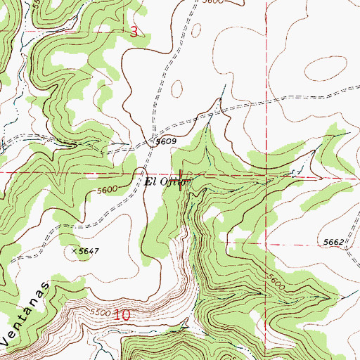 Topographic Map of El Ojito, NM