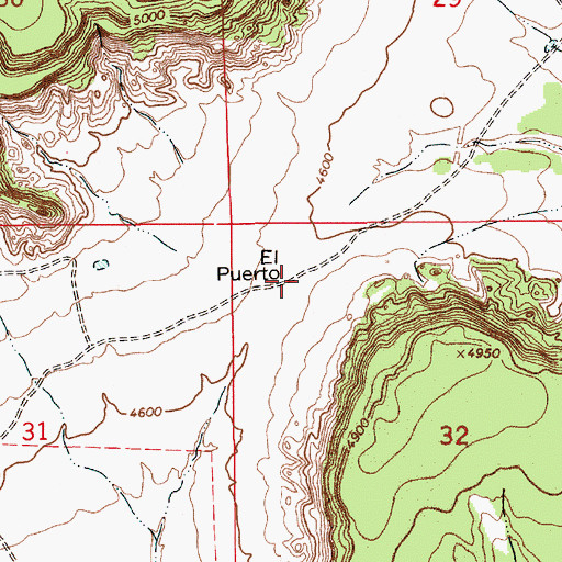 Topographic Map of El Puerto, NM