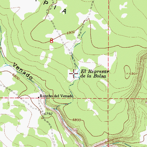 Topographic Map of El Represar de la Bolsa, NM