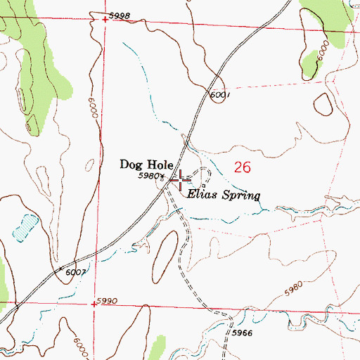 Topographic Map of Elias Spring, NM