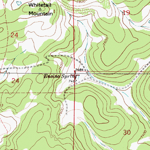 Topographic Map of Encino Spring, NM