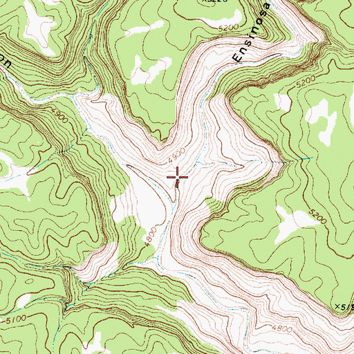 Topographic Map of Ensinosa Canyon, NM