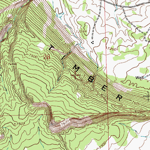 Topographic Map of Fallen Timber Ridge, NM
