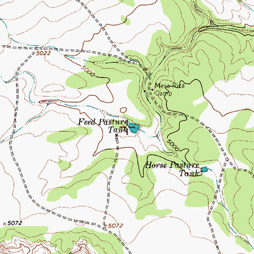 Topographic Map of Feed Pasture Tank, NM
