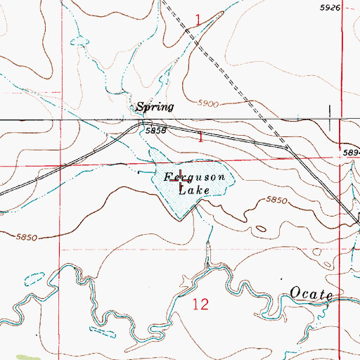 Topographic Map of Ferguson Lake, NM