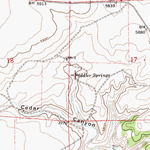 Topographic Map of Fiddler Springs, NM