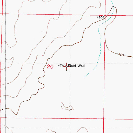 Topographic Map of Field Well, NM