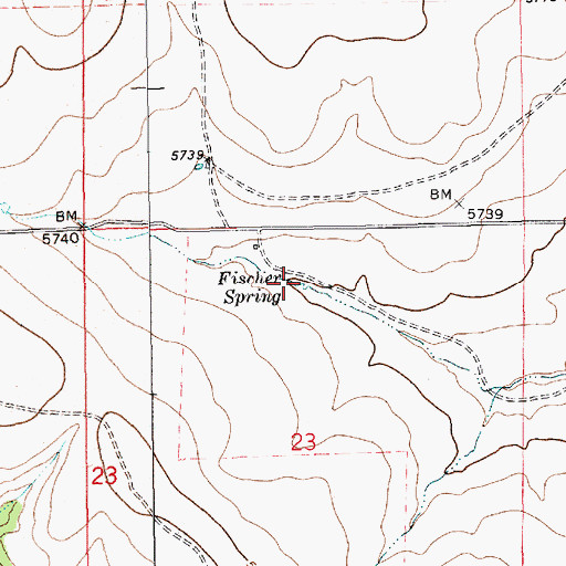 Topographic Map of Fischer Spring, NM