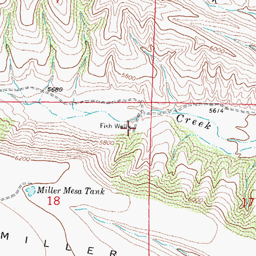 Topographic Map of Fish Well, NM