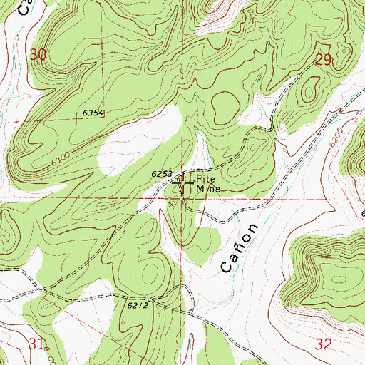 Topographic Map of Fite Mine, NM