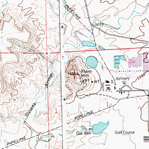 Topographic Map of Flare Hill, NM