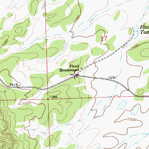 Topographic Map of Flood Homestead, NM